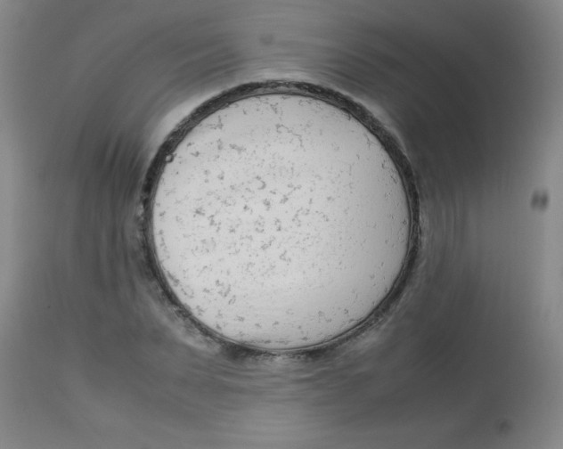 X0000113750879200910211144