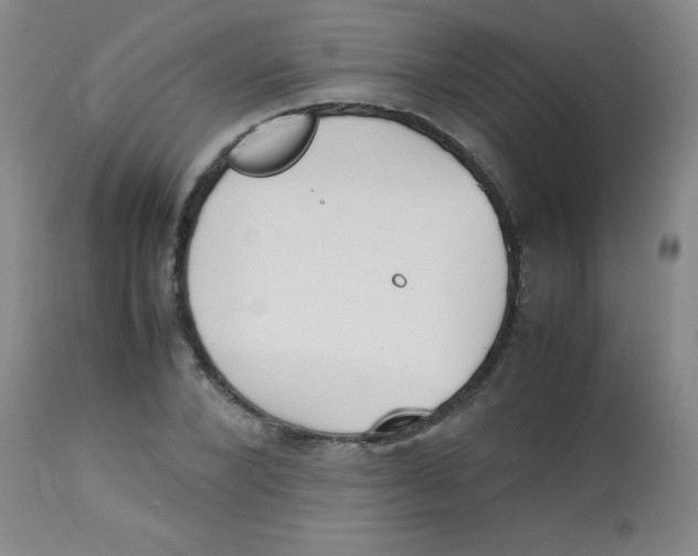 X0000113750880200910211144