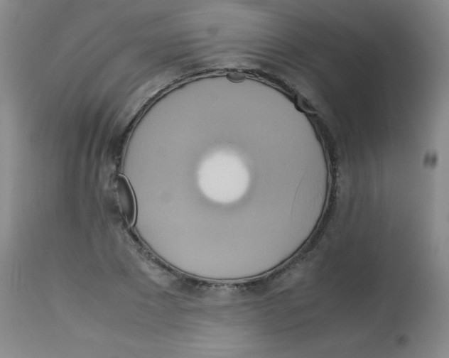 X0000113750881200910211144