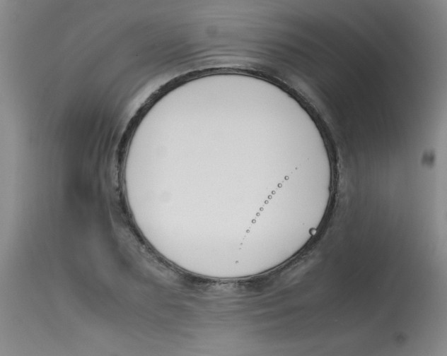 X0000113750883200910211144