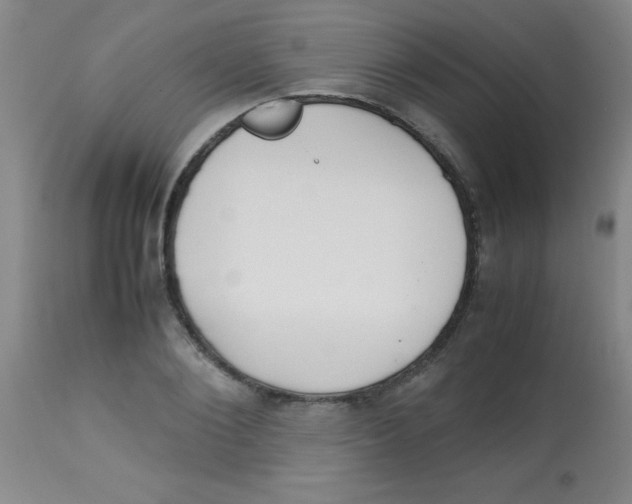 X0000113750884200910211144