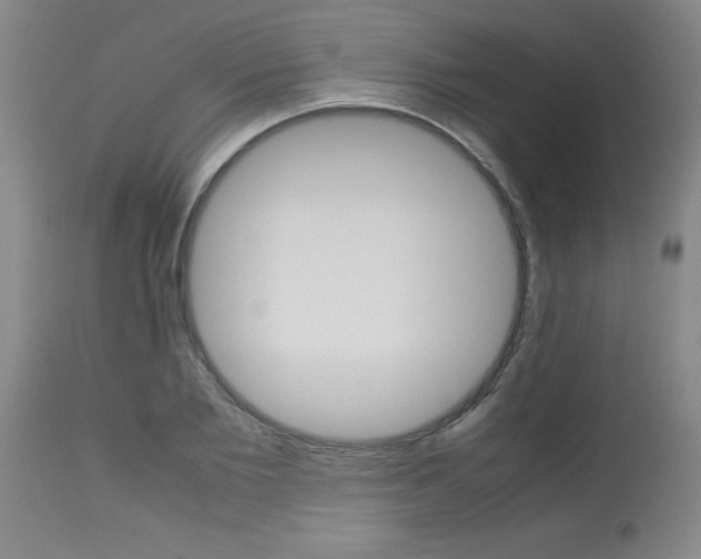 X0000113750885200910211144