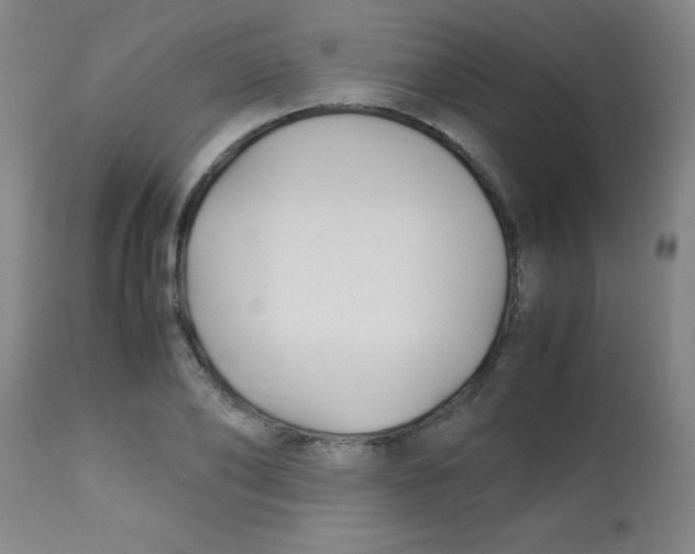 X0000113750886200910211144