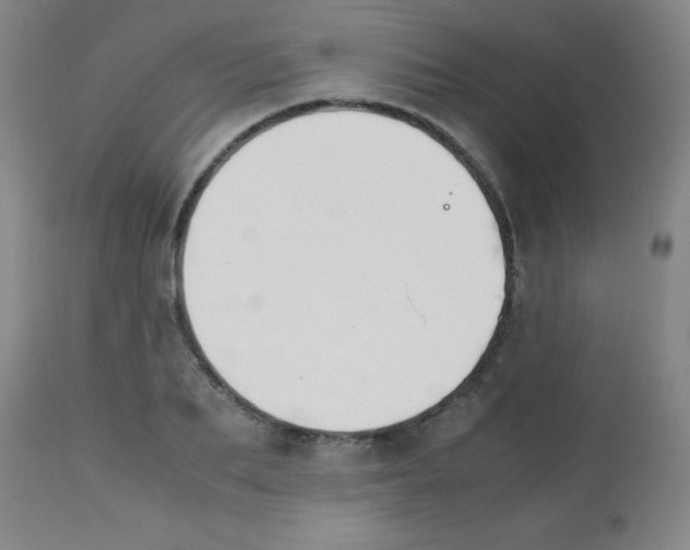 X0000113750887200910211144