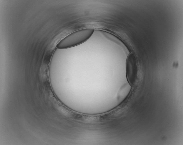 X0000113750889200910211144