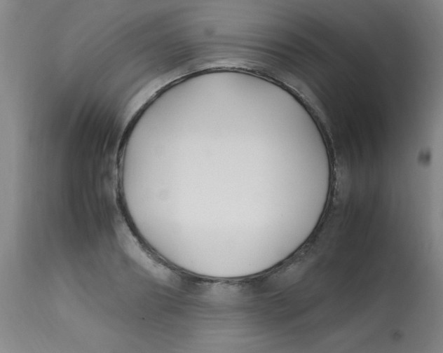 X0000113750890200910211144