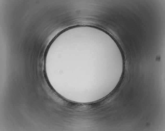 X0000113750891200910211144