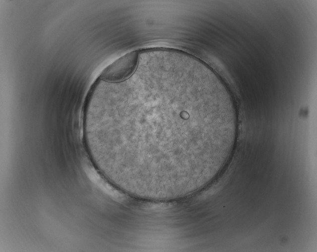 X0000113750892200910211144