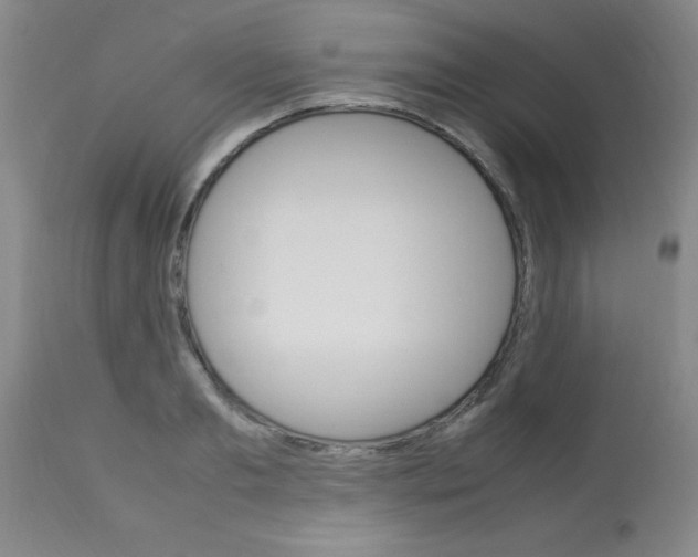 X0000113750893200910211144