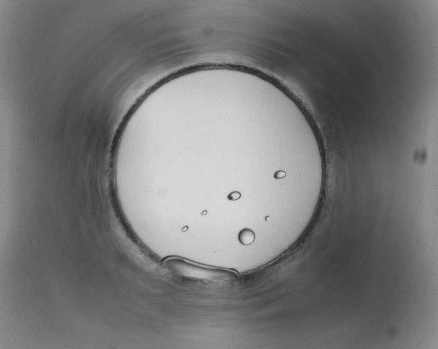 X0000113750895200910211144