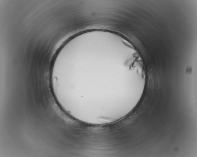 X0000113750896200910211144