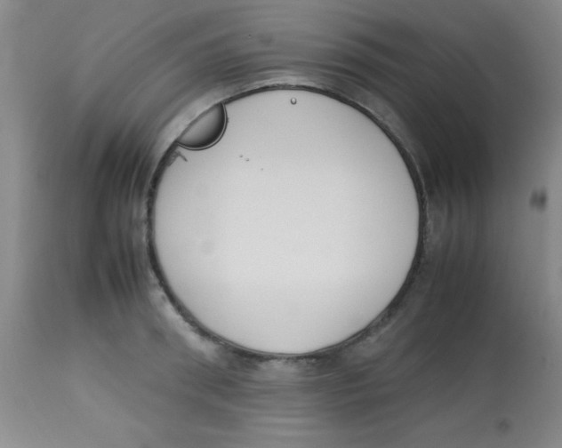 X0000113750898200910211144