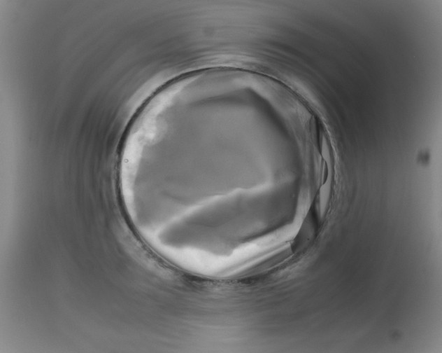 X0000113750899200910211144