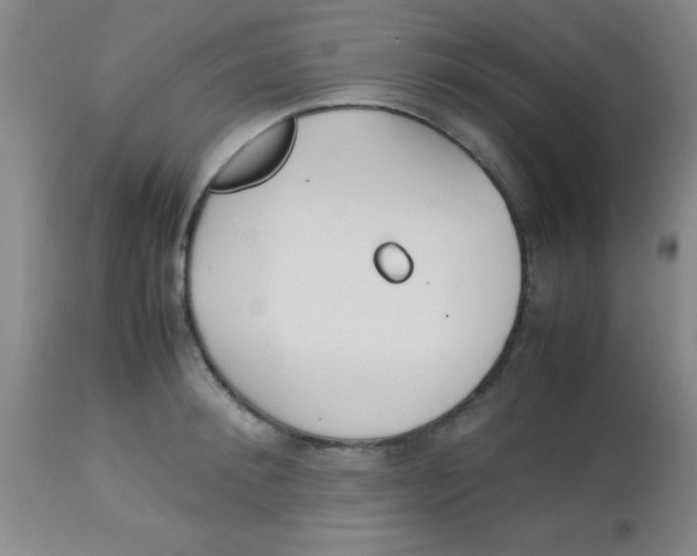 X0000113750900200910211144