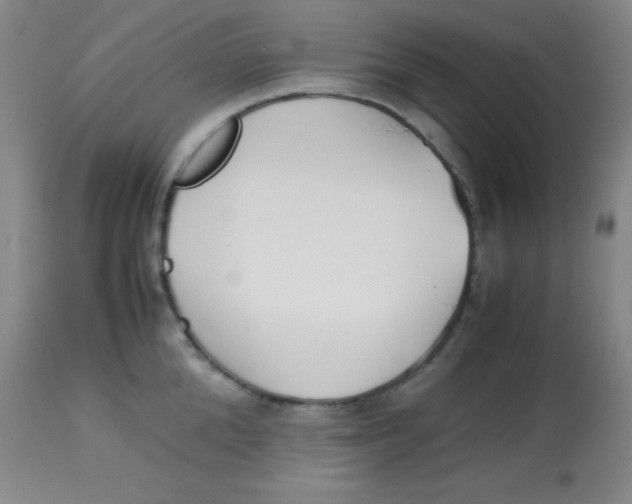 X0000113750904200910211144