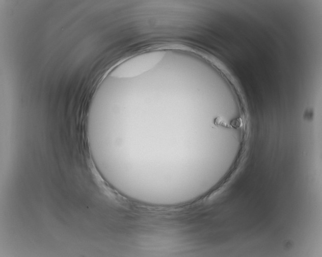 X0000113750905200910211144