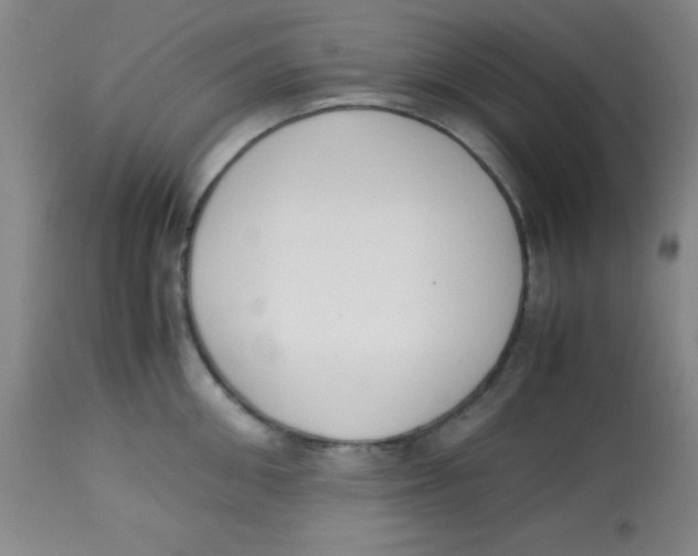 X0000113750906200910211144