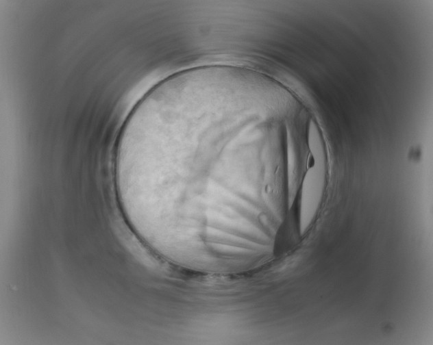 X0000113750907200910211144