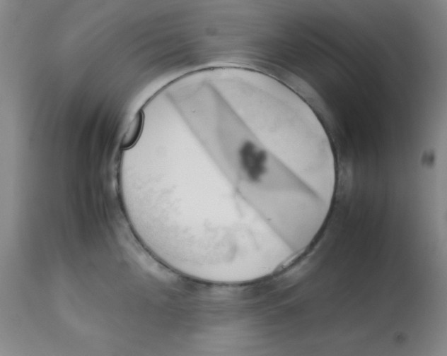 X0000113750908200910211144