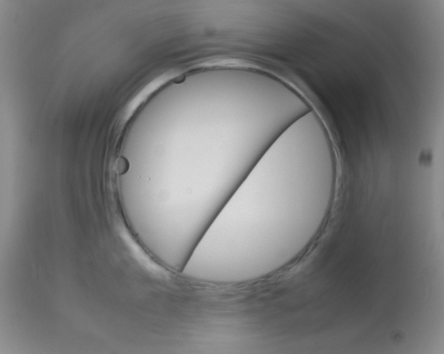 X0000113750909200910211144