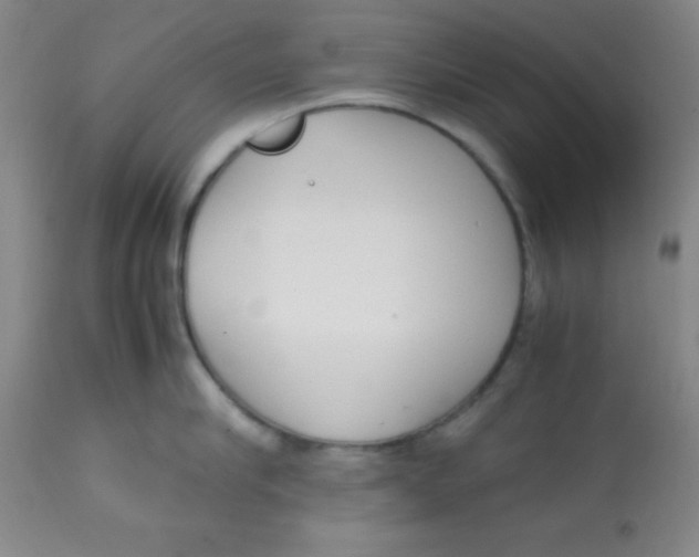 X0000113750910200910211144