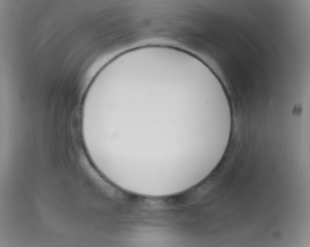 X0000113750911200910211144