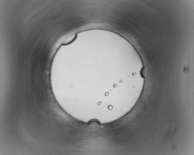 X0000113750912200910211144