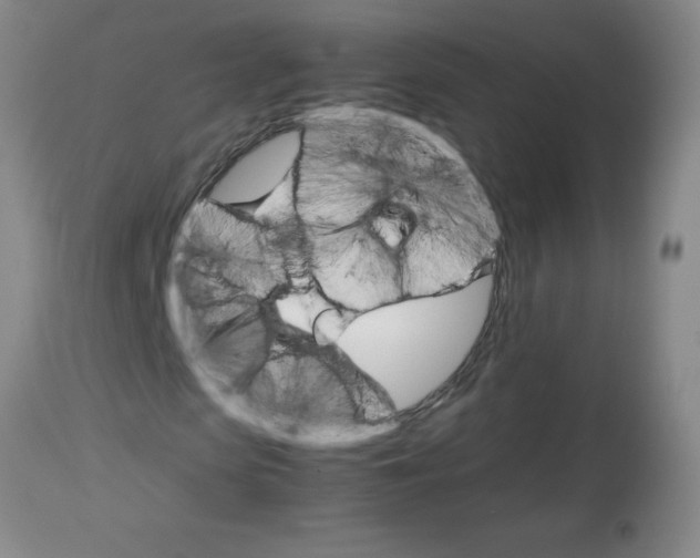 X0000113750913200910211143