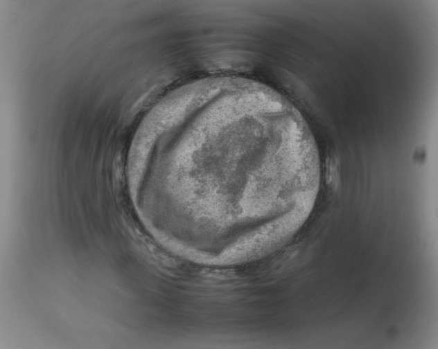 X0000113750915200910211143