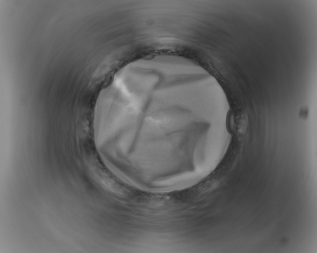 X0000113750916200910211143