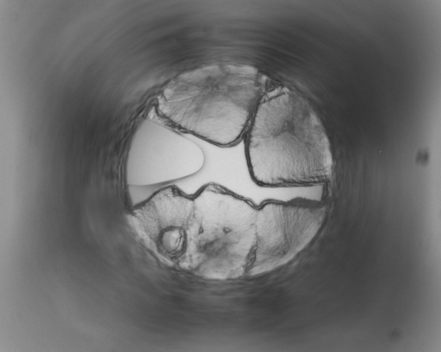 X0000113750917200910211143