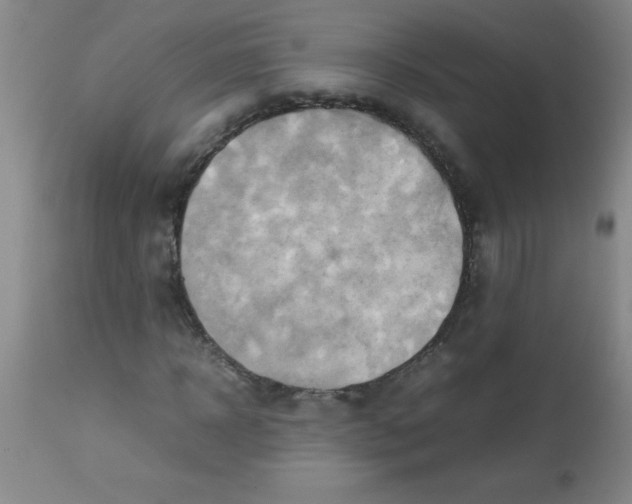 X0000113750918200910211143