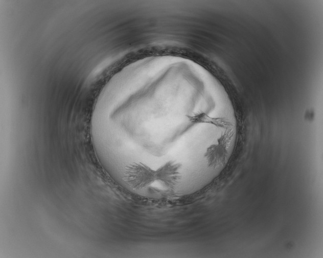 X0000113750919200910211143