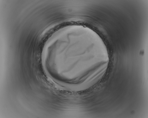 X0000113750920200910211143