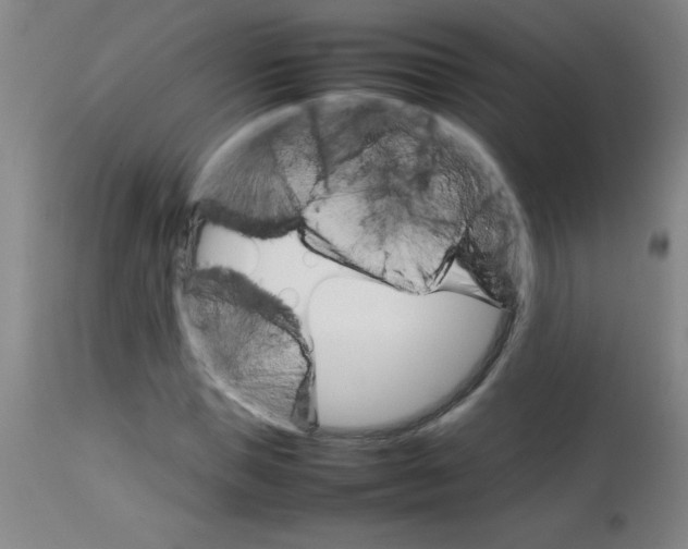 X0000113750921200910211143