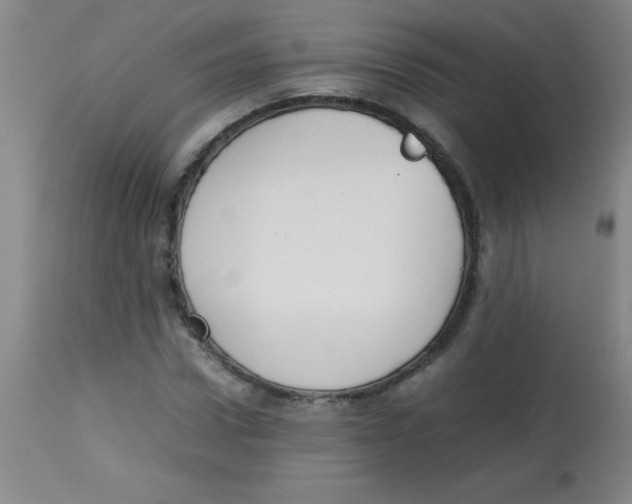 X0000113750922200910211143