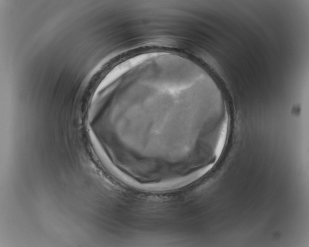 X0000113750923200910211143