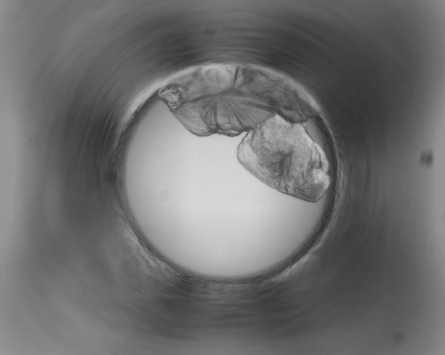 X0000113750925200910211143