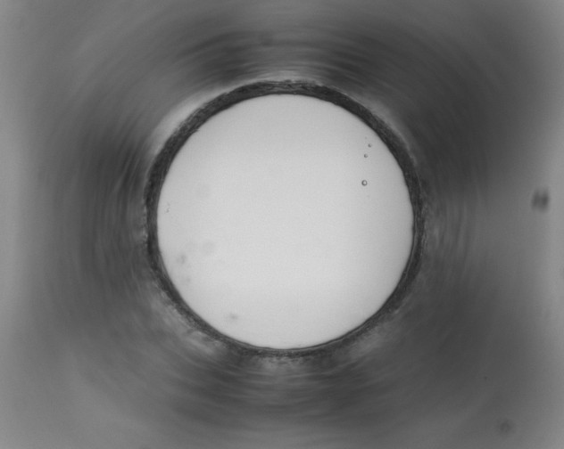 X0000113750927200910211143