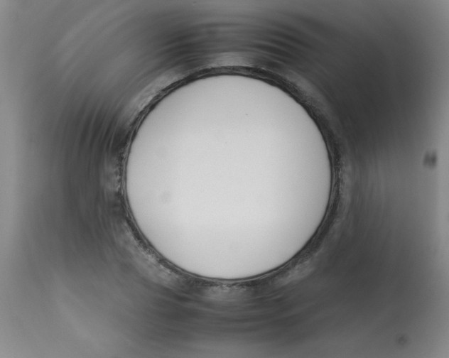 X0000113750929200910211143