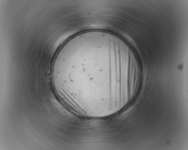 X0000113750930200910211143