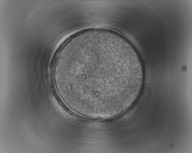 X0000113750932200910211143