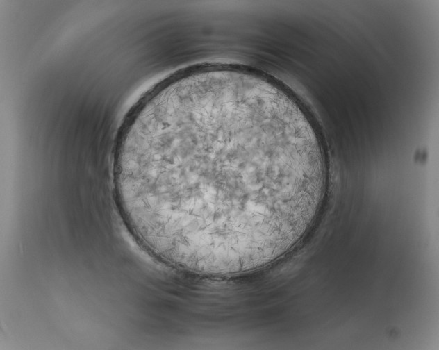 X0000113750935200910211143
