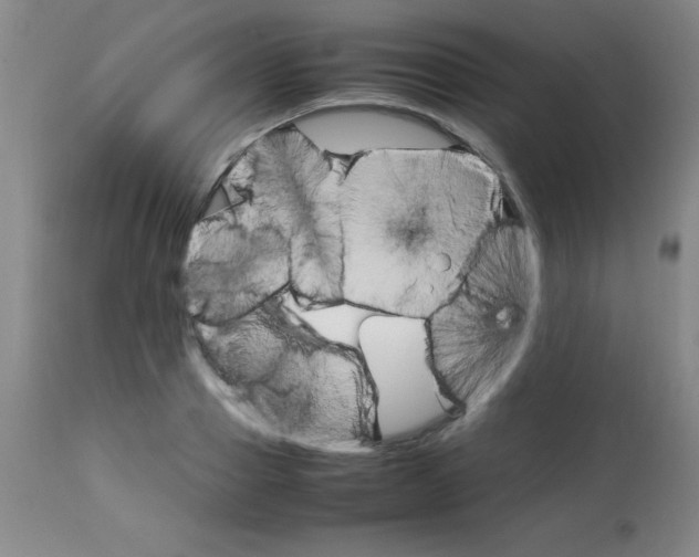 X0000113750937200910211143