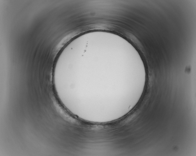 X0000113750938200910211143