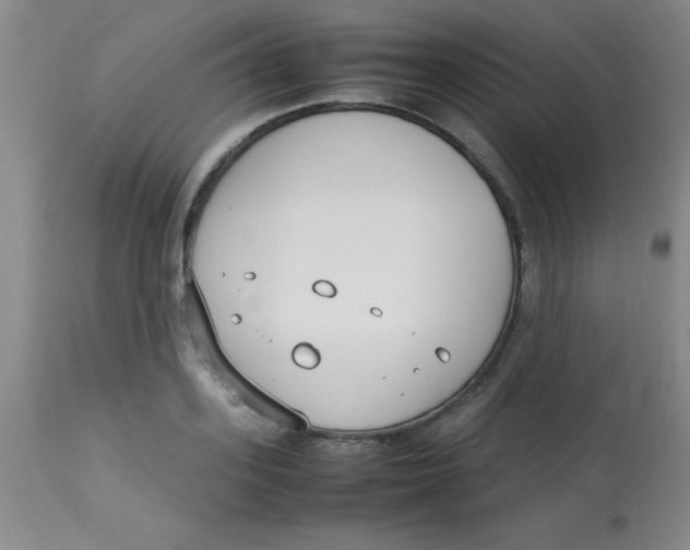 X0000113750939200910211143