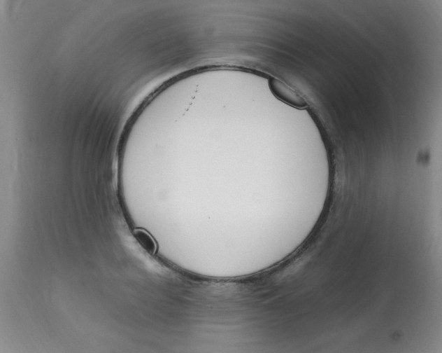 X0000113750940200910211143