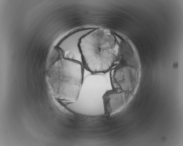 X0000113750941200910211143