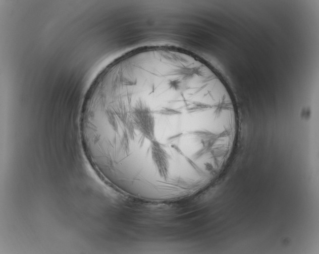 X0000113750943200910211143
