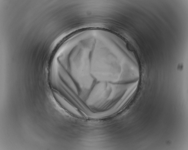 X0000113750944200910211143